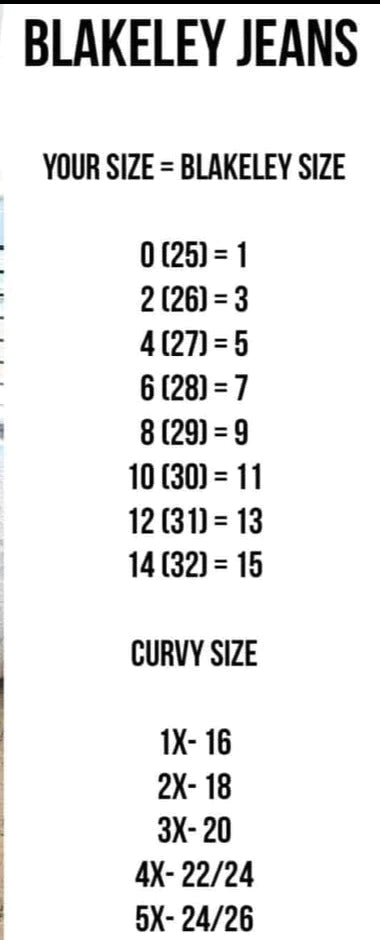 Blakeley: Romi Tummy Control Denim 32" (Regular) Inseam